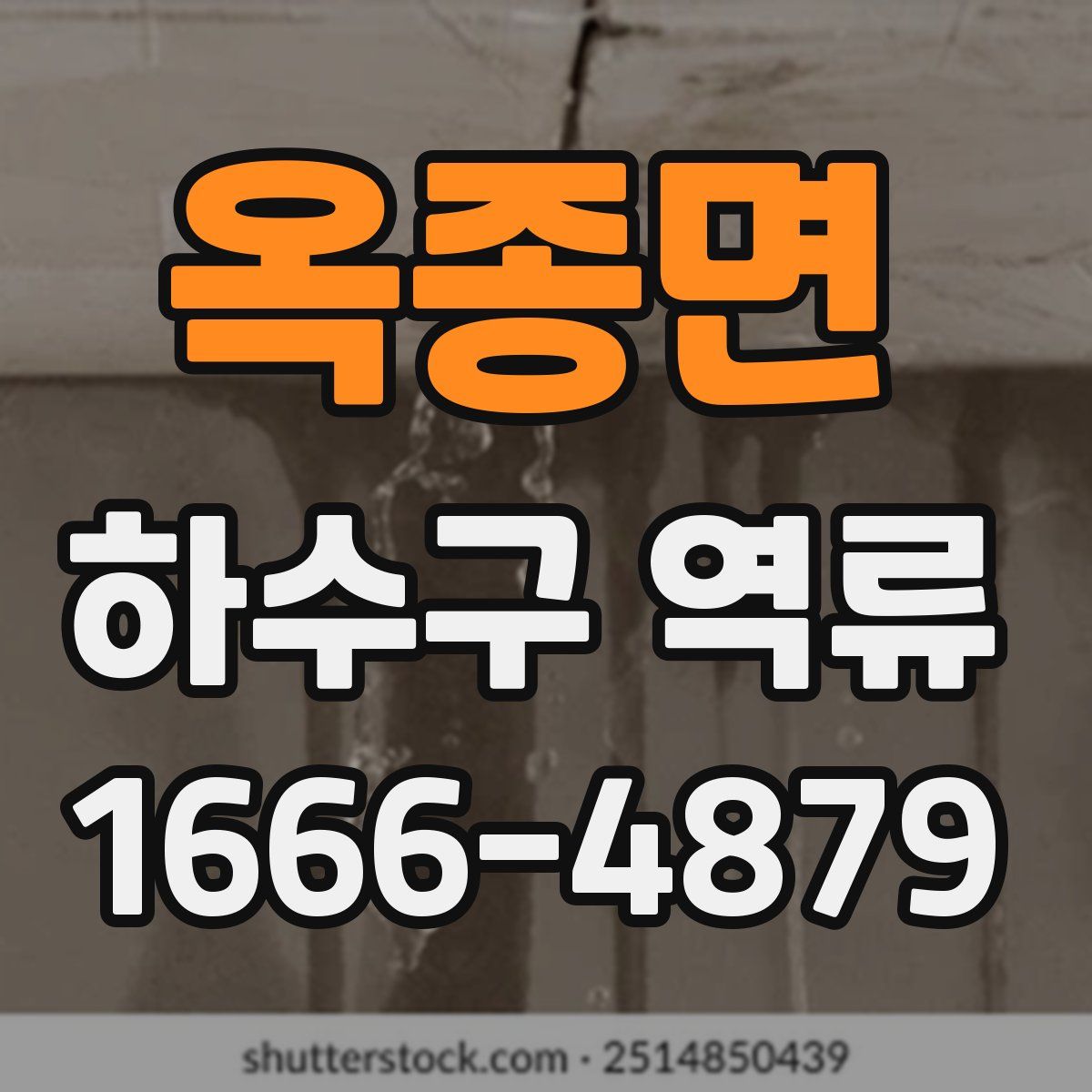 옥종면 하수구 역류