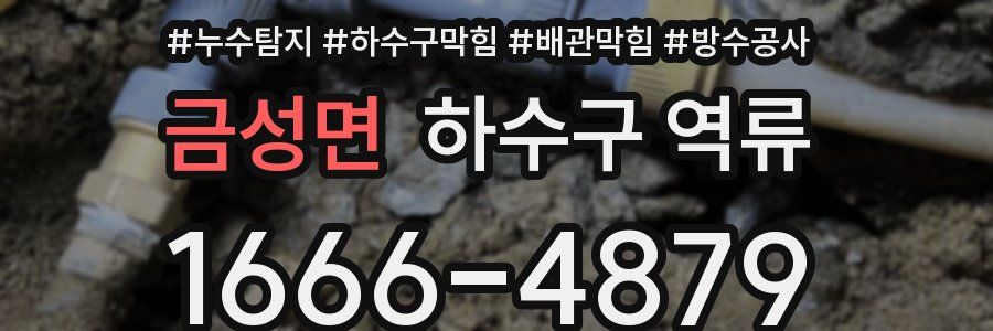 금성면 하수구 역류