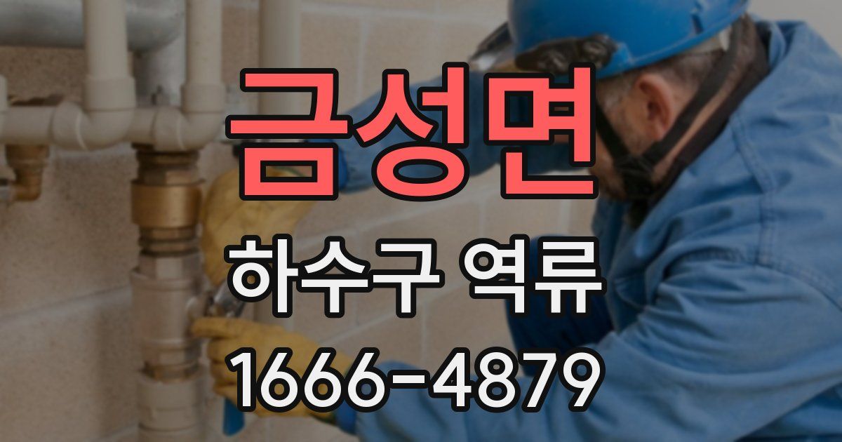 금성면 하수구 역류