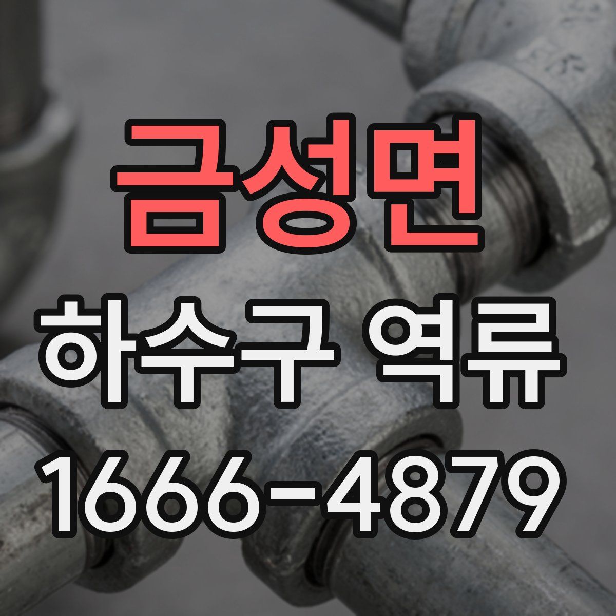 금성면 하수구 역류