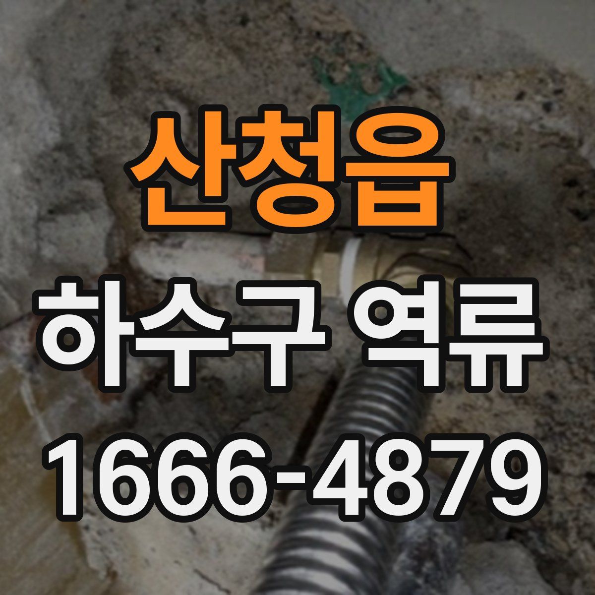 산청읍 하수구 역류