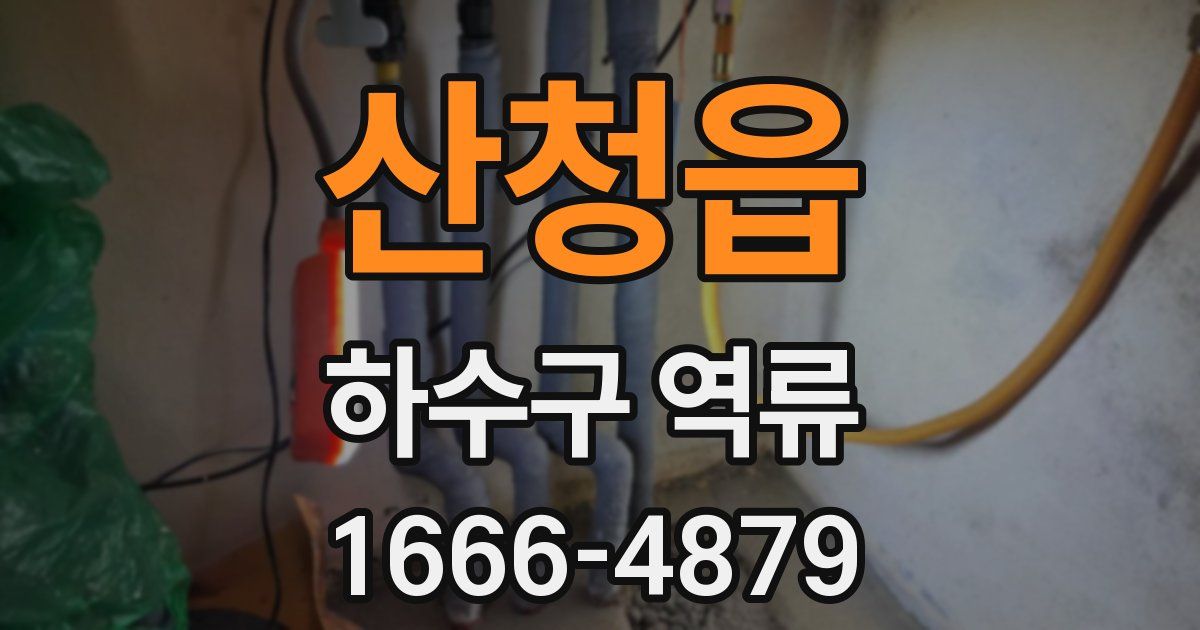 산청읍 하수구 역류