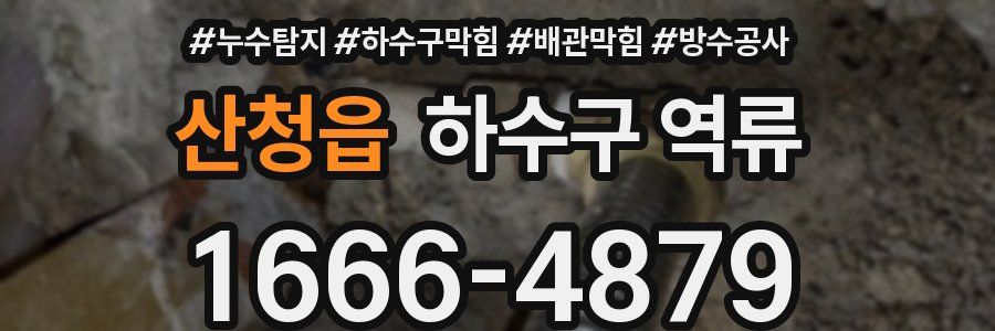 산청읍 하수구 역류