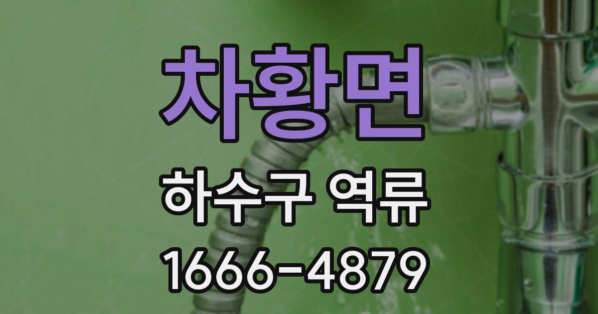 차황면 하수구 역류