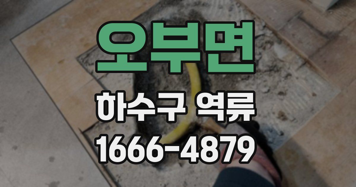오부면 하수구 역류