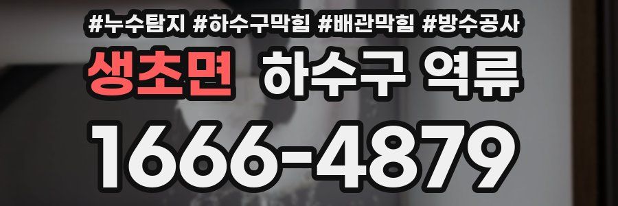 생초면 하수구 역류