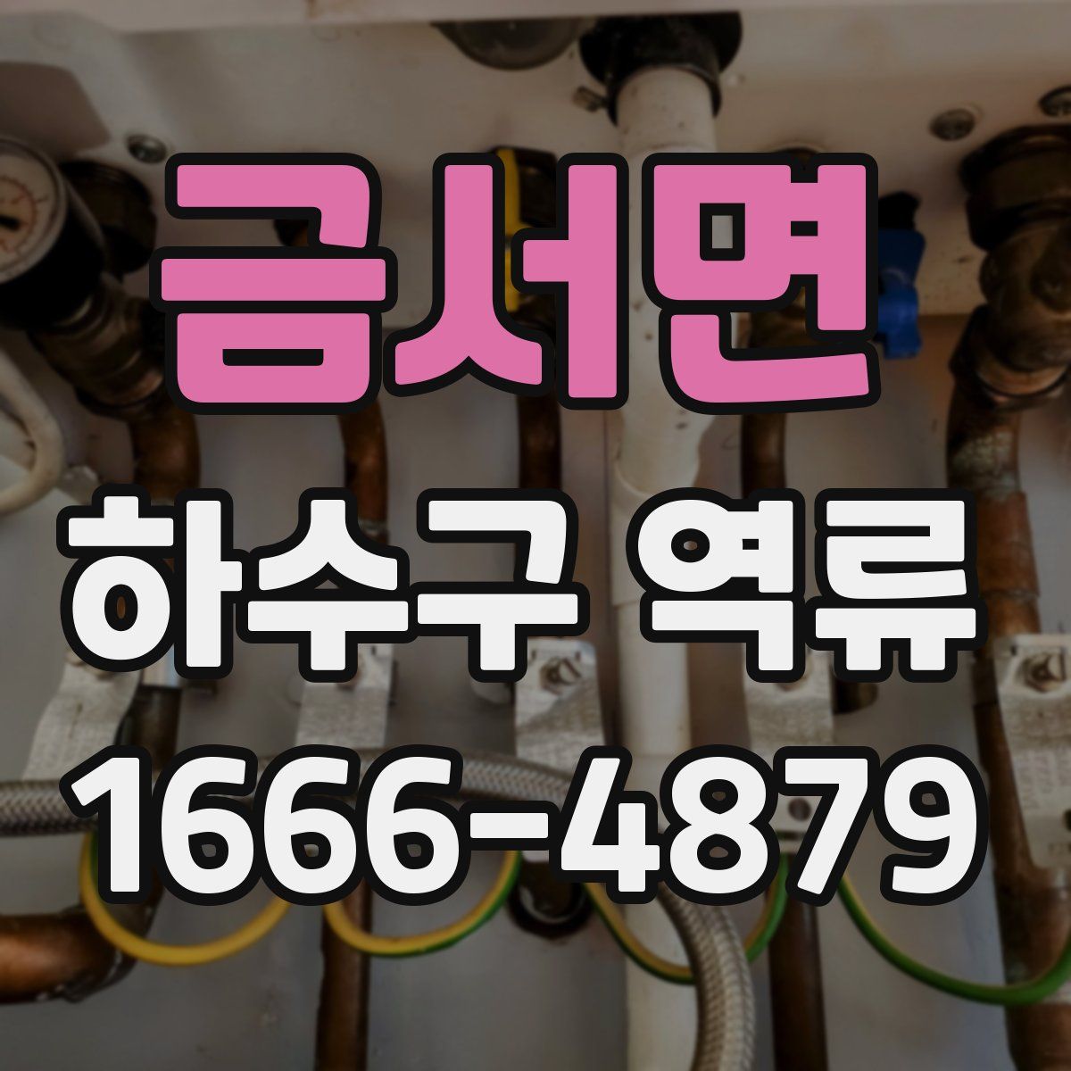 금서면 하수구 역류