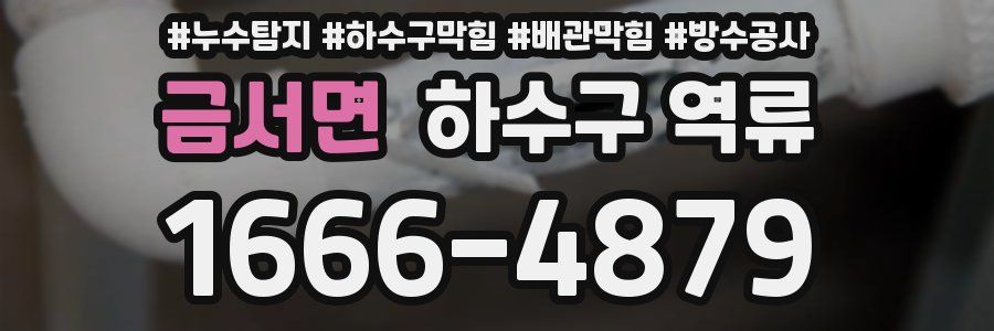 금서면 하수구 역류