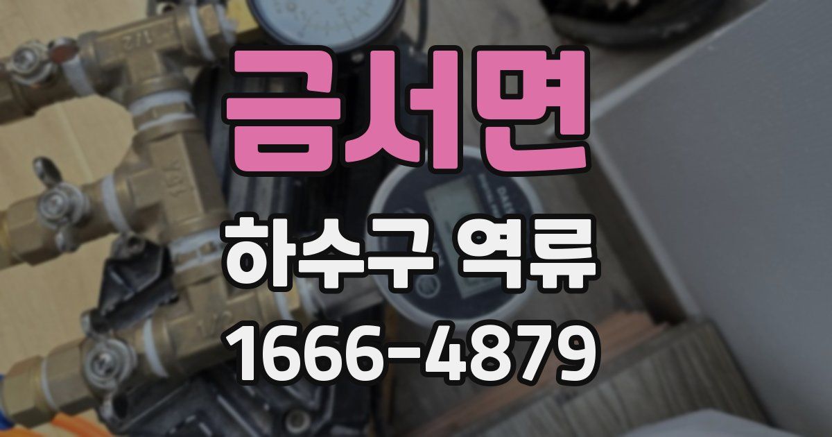 금서면 하수구 역류