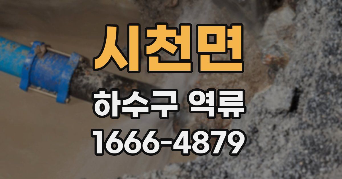 시천면 하수구 역류