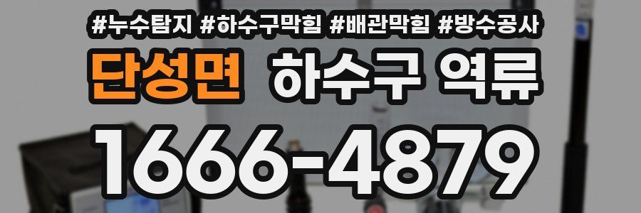 단성면 하수구 역류
