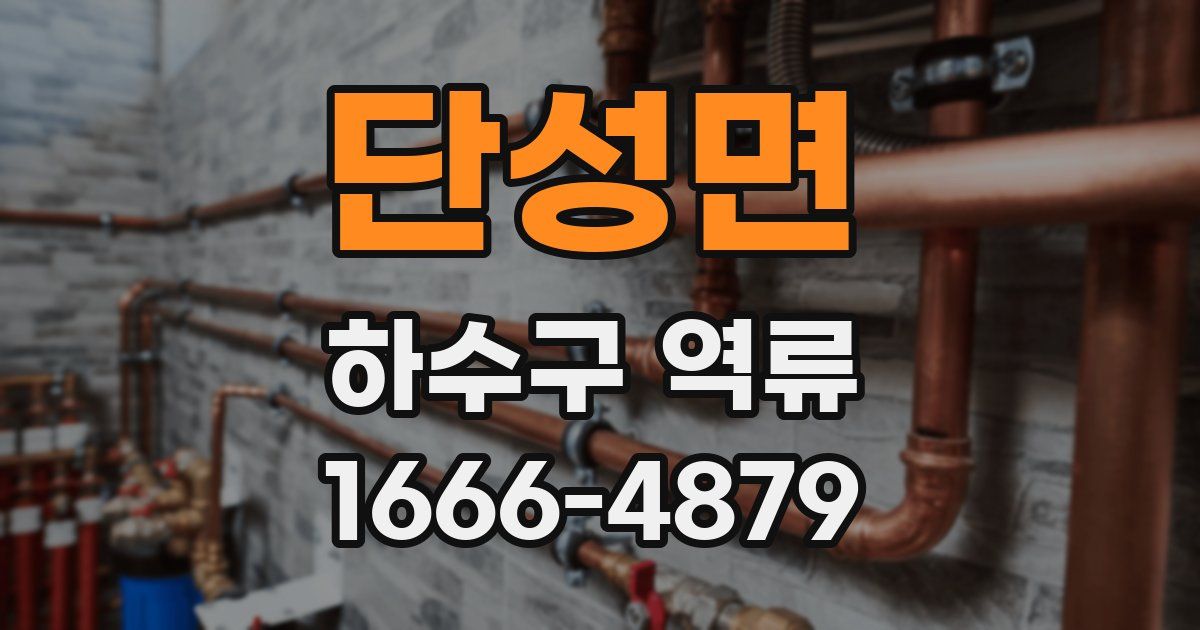단성면 하수구 역류