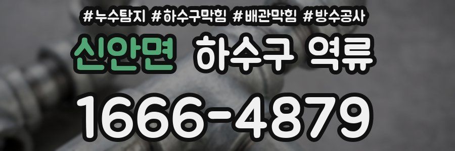 신안면 하수구 역류