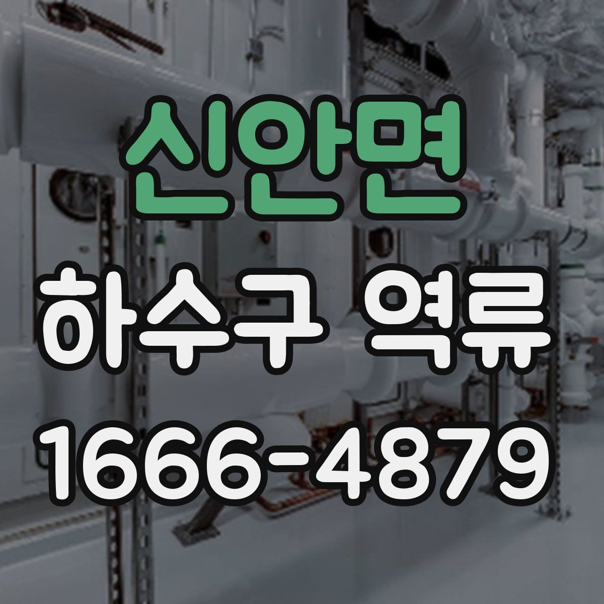 신안면 하수구 역류