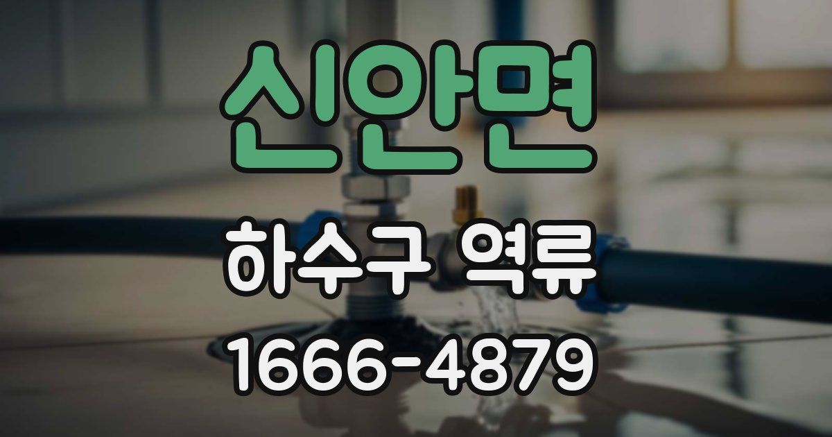 신안면 하수구 역류