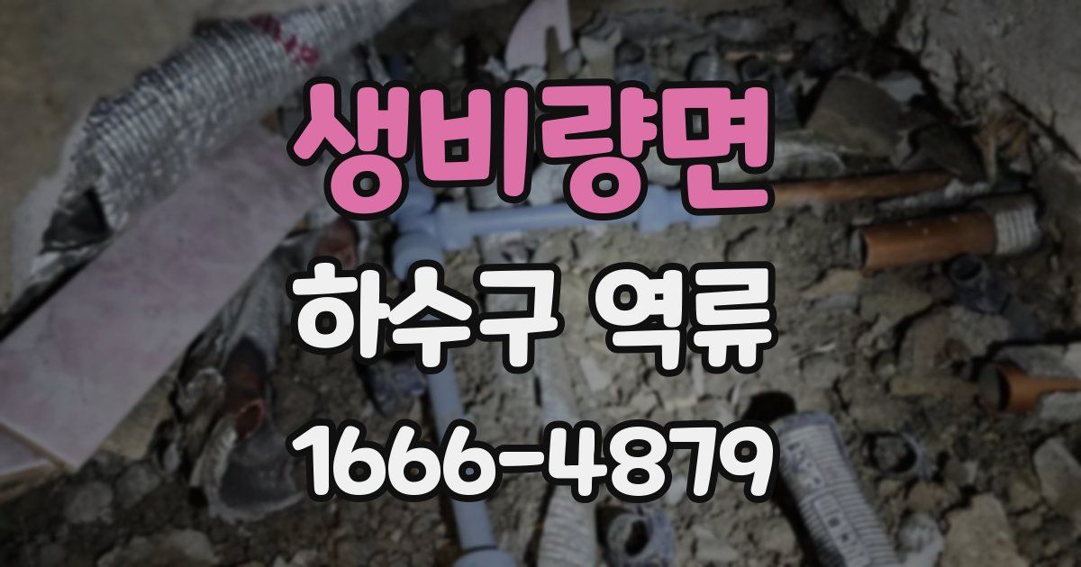 생비량면 하수구 역류