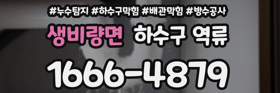 생비량면 하수구 역류