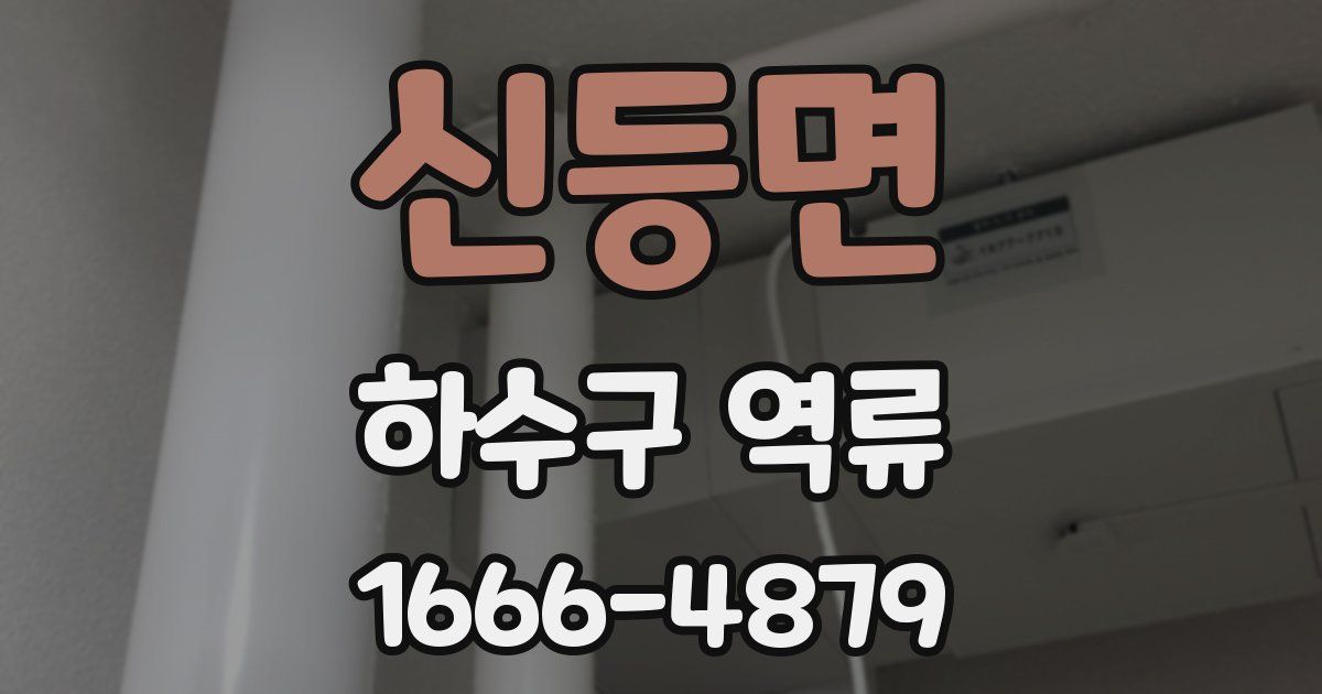 신등면 하수구 역류