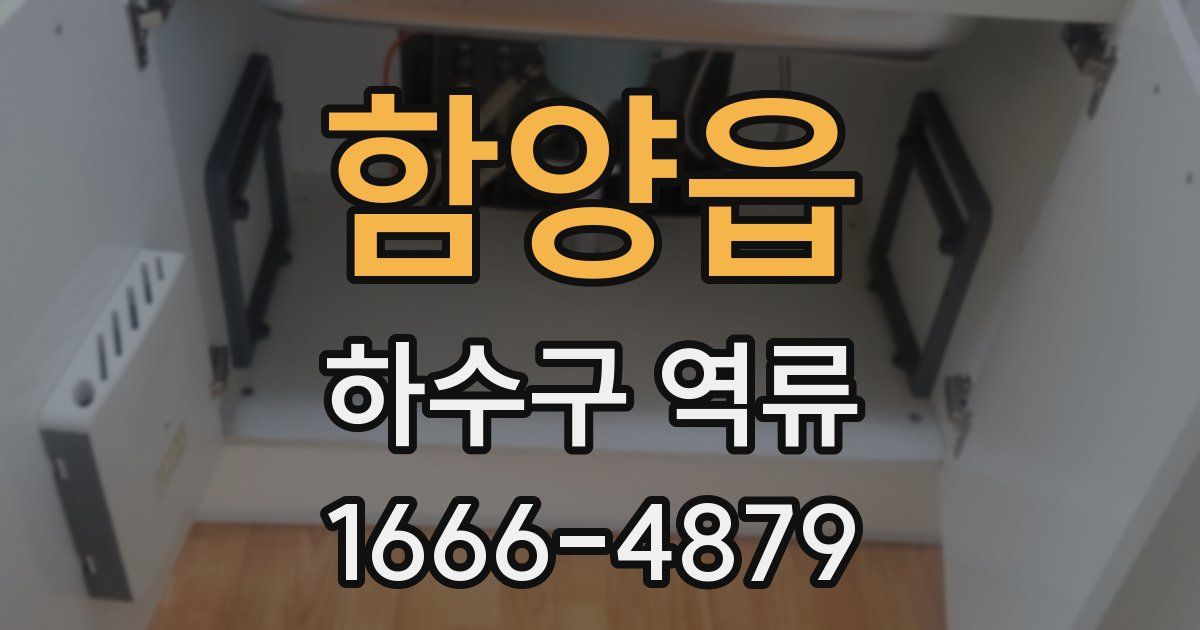 함양읍 하수구 역류