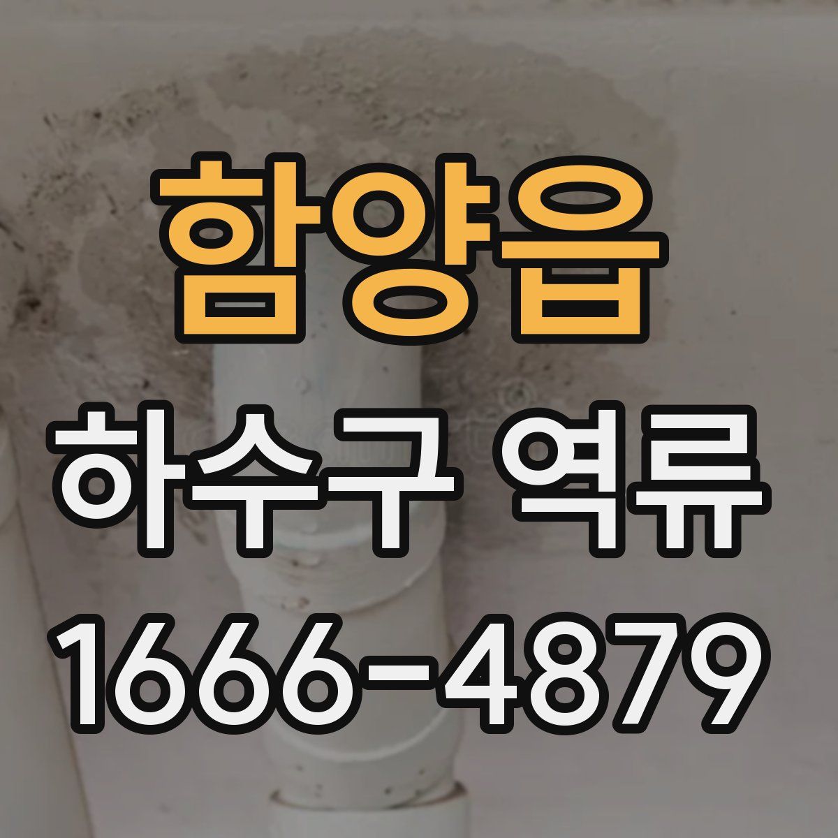 함양읍 하수구 역류