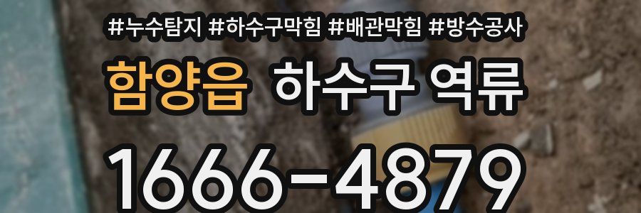 함양읍 하수구 역류