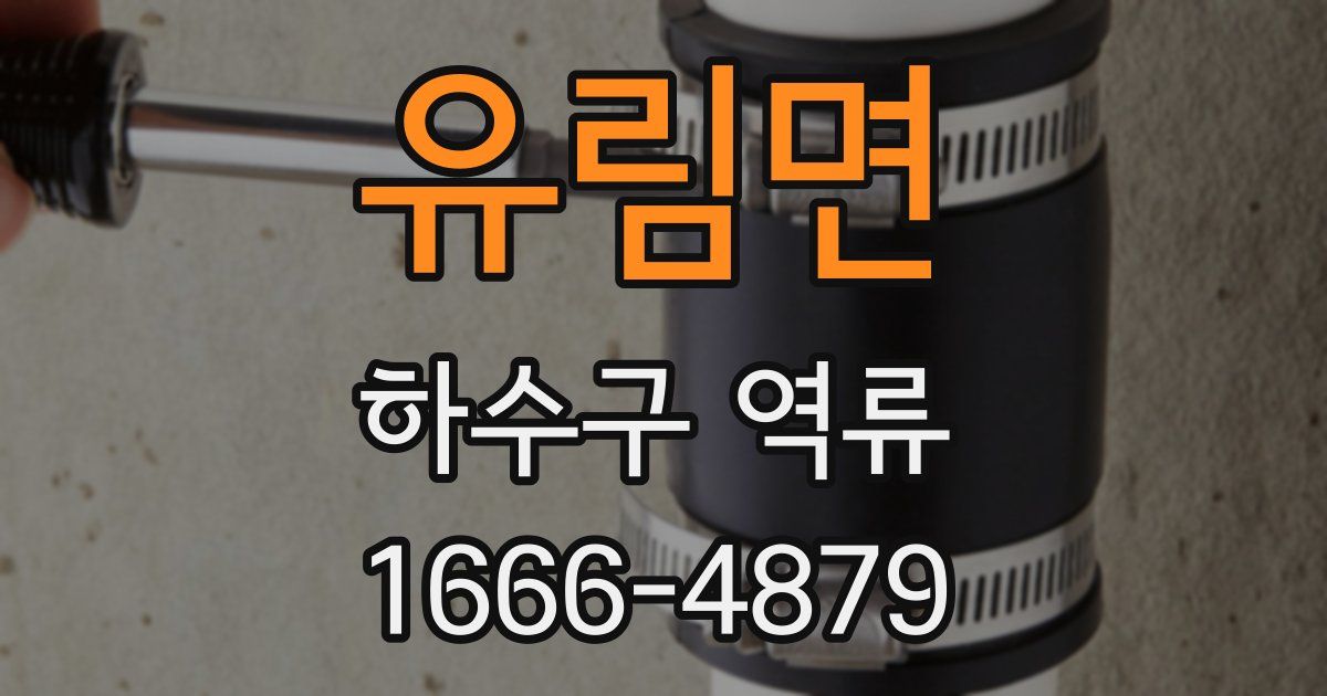 유림면 하수구 역류