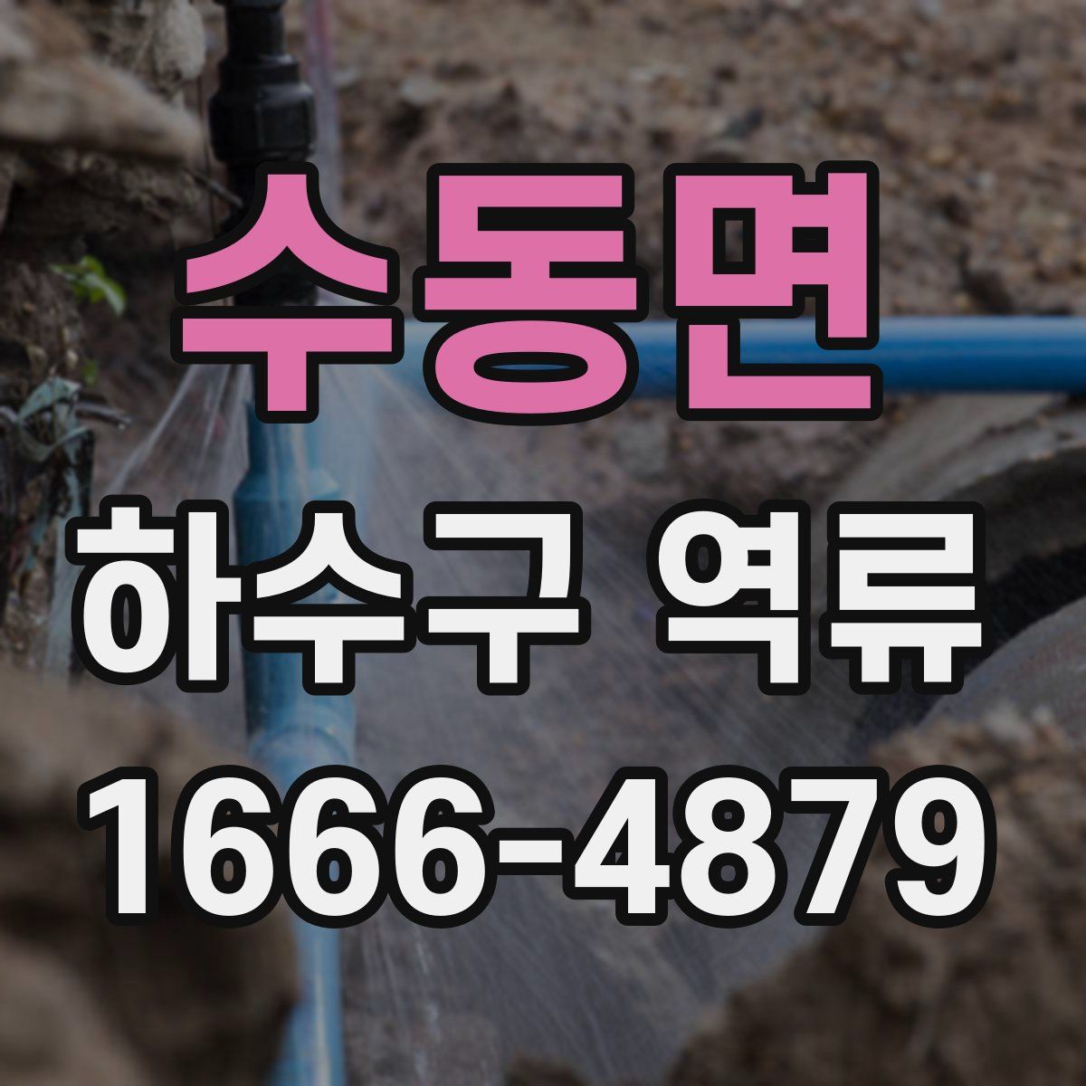수동면 하수구 역류