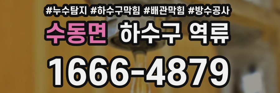 수동면 하수구 역류