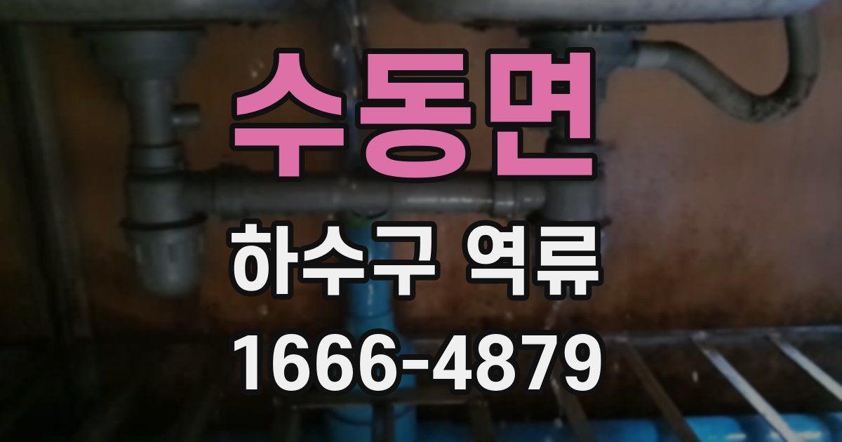 수동면 하수구 역류