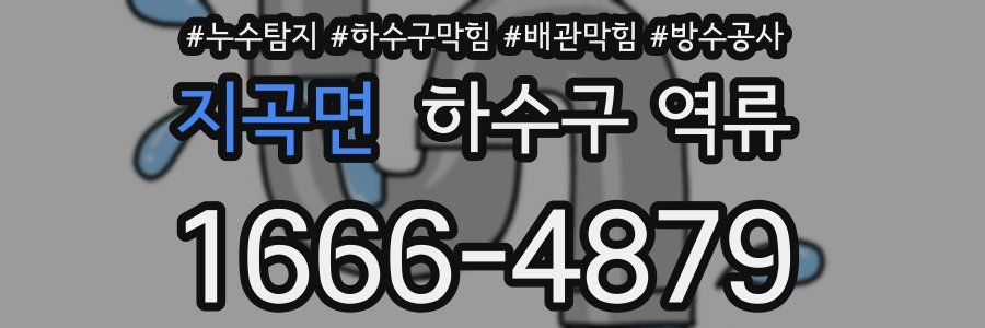 지곡면 하수구 역류