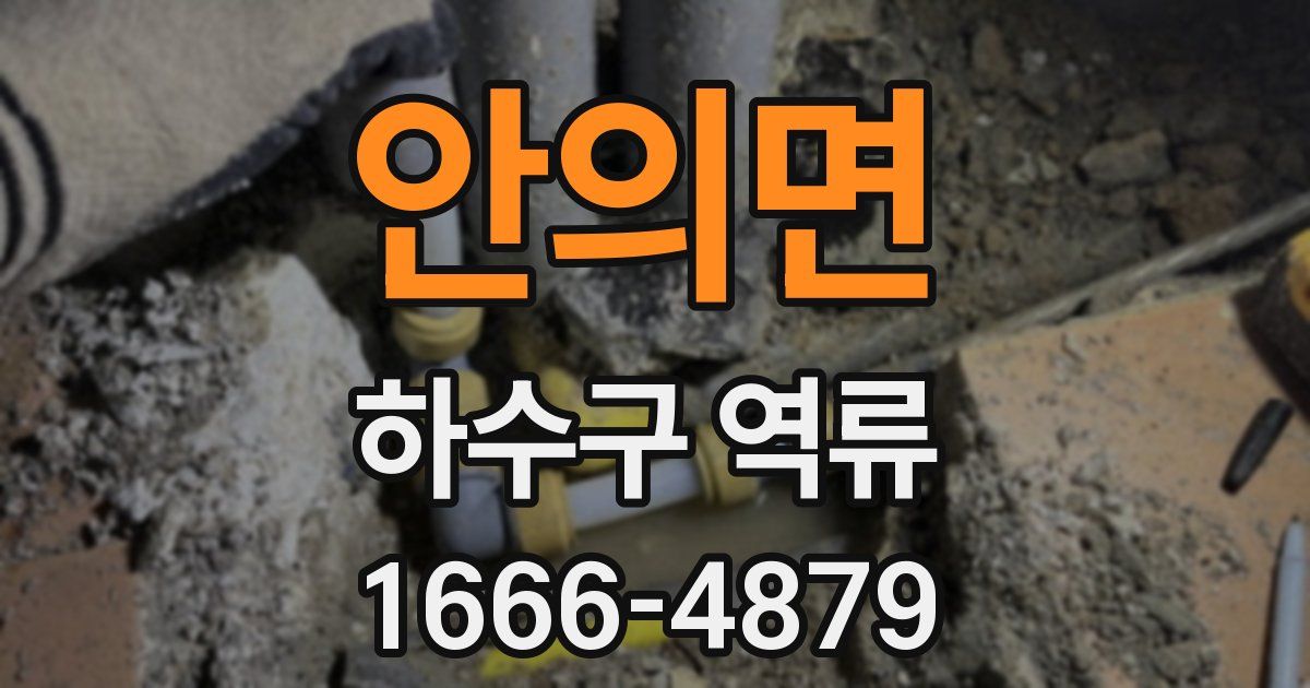 안의면 하수구 역류