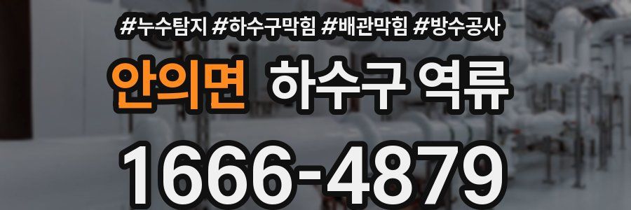안의면 하수구 역류
