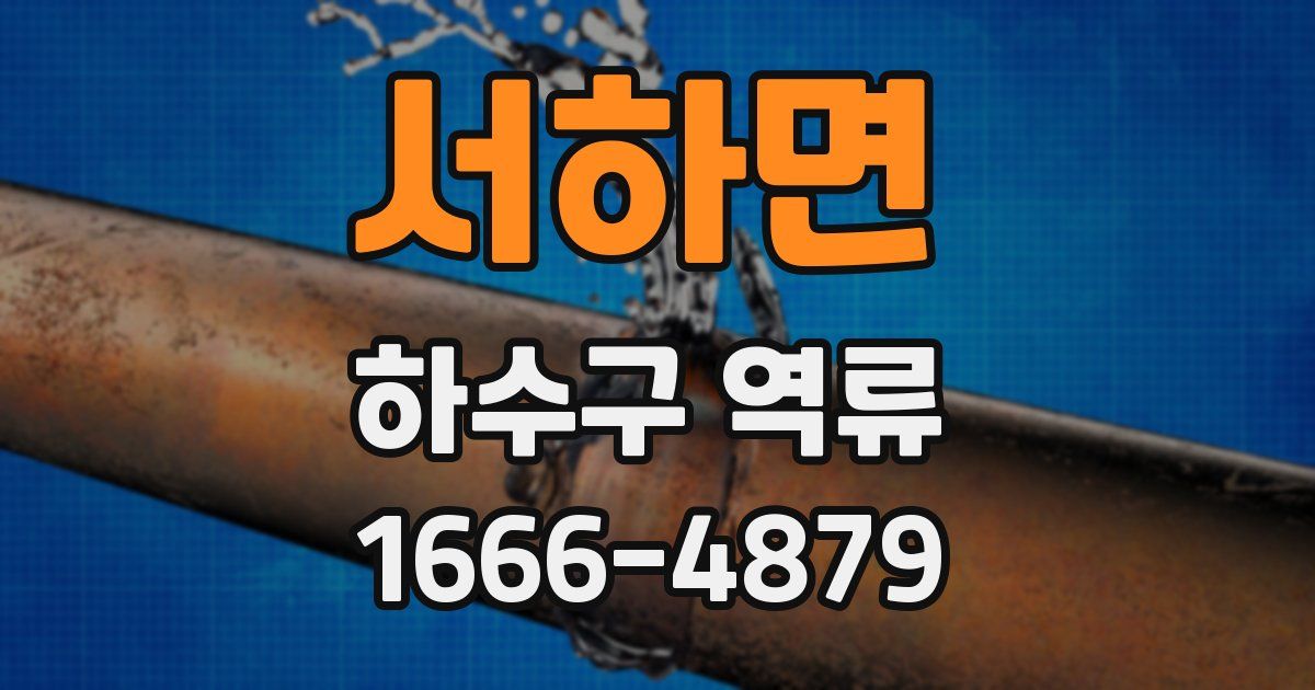 서하면 하수구 역류