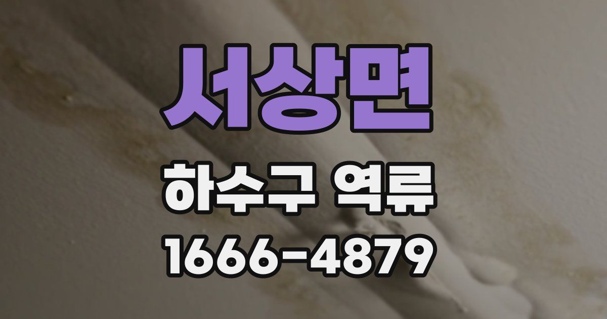 서상면 하수구 역류