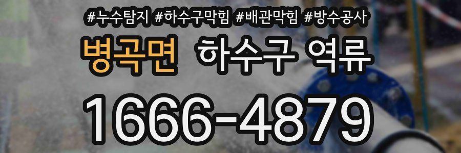 병곡면 하수구 역류