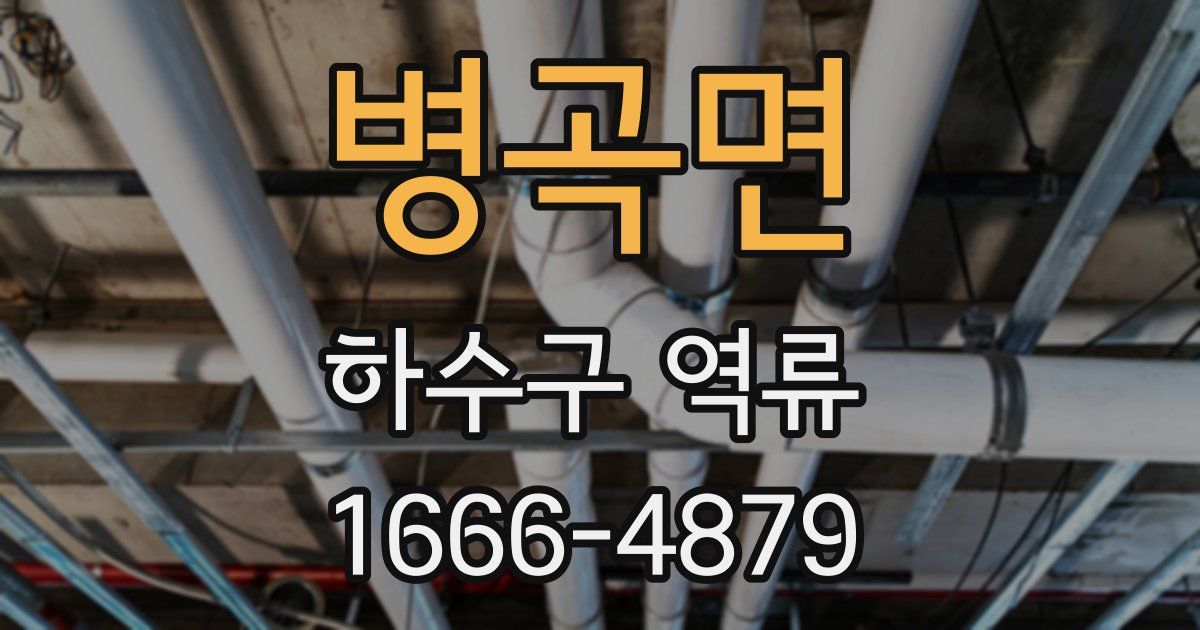 병곡면 하수구 역류