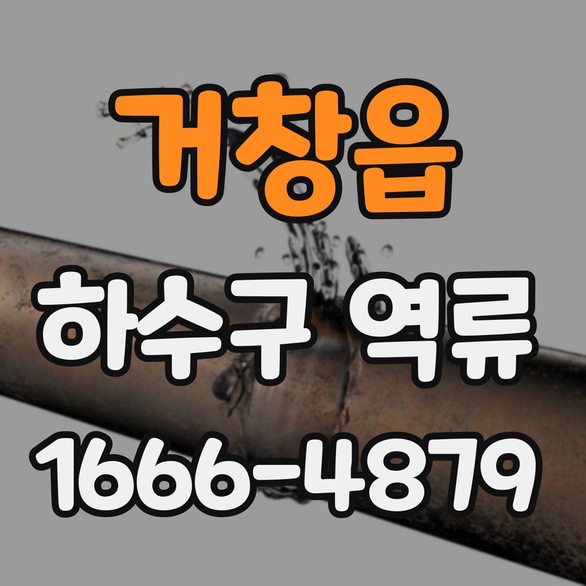 거창읍 하수구 역류
