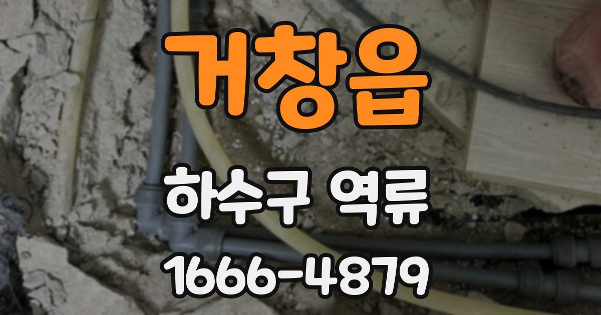 거창읍 하수구 역류