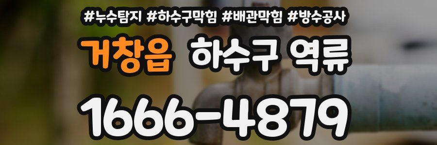 거창읍 하수구 역류