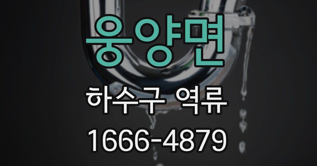 웅양면 하수구 역류