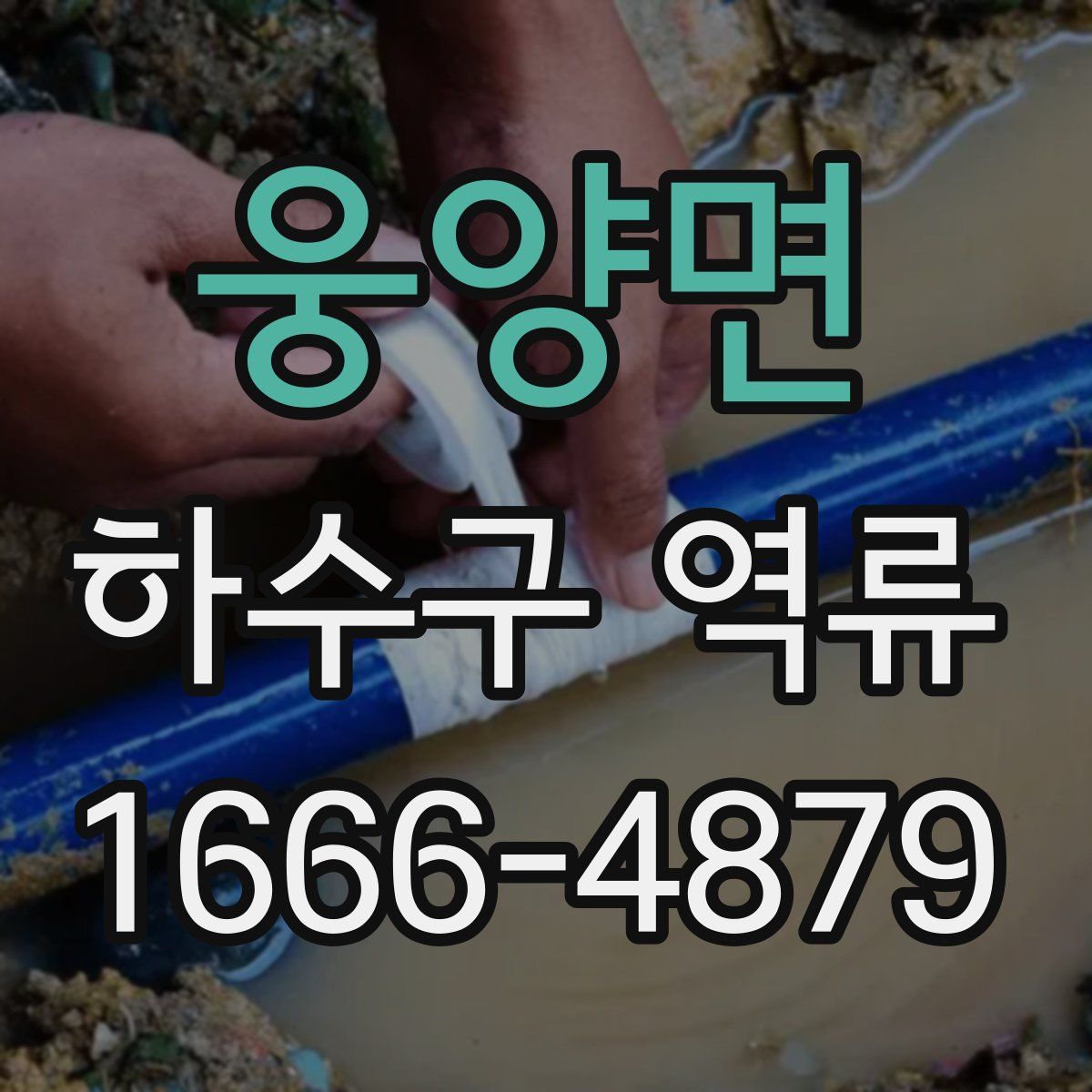 웅양면 하수구 역류