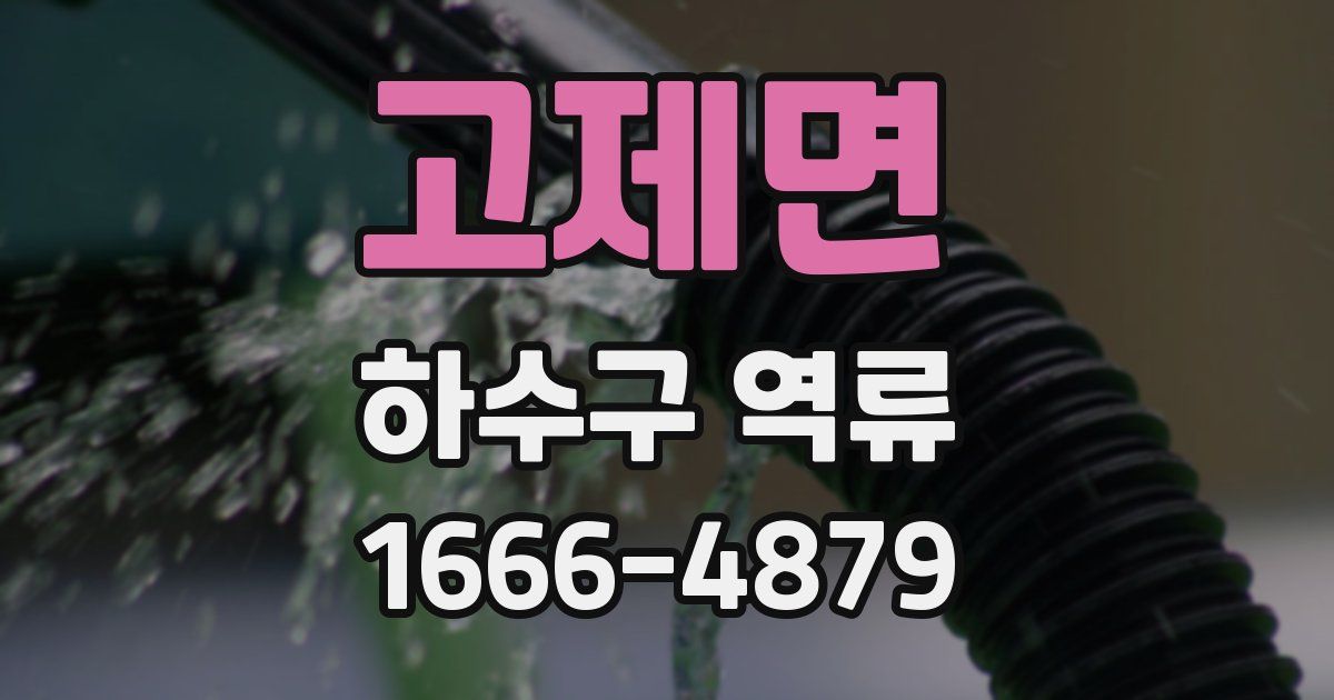 고제면 하수구 역류