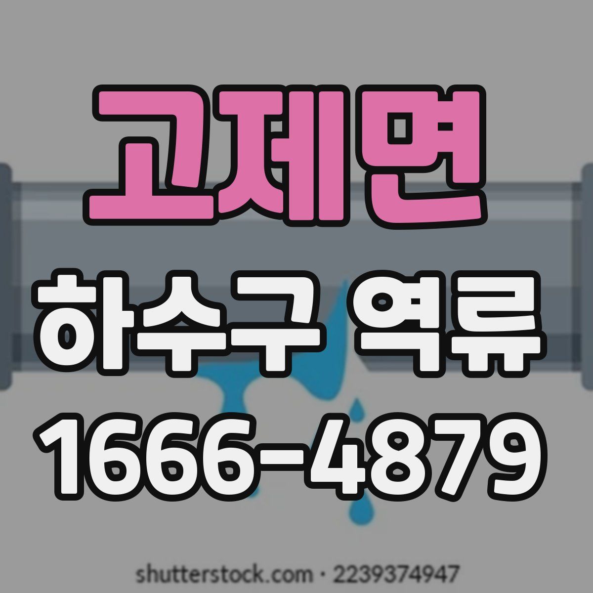 고제면 하수구 역류