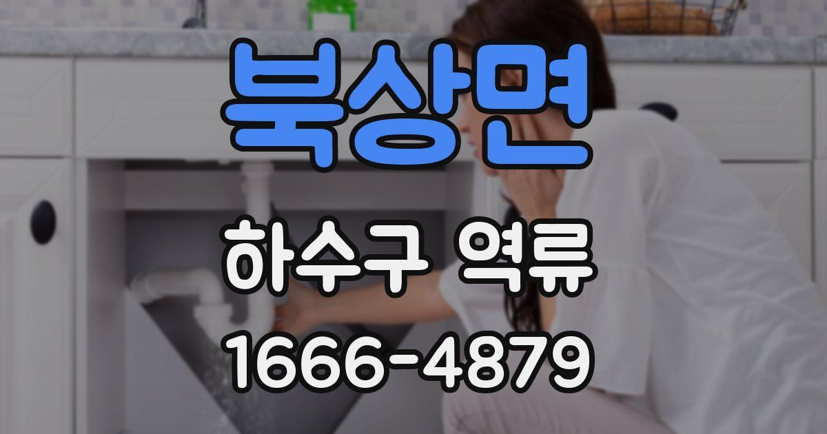 북상면 하수구 역류