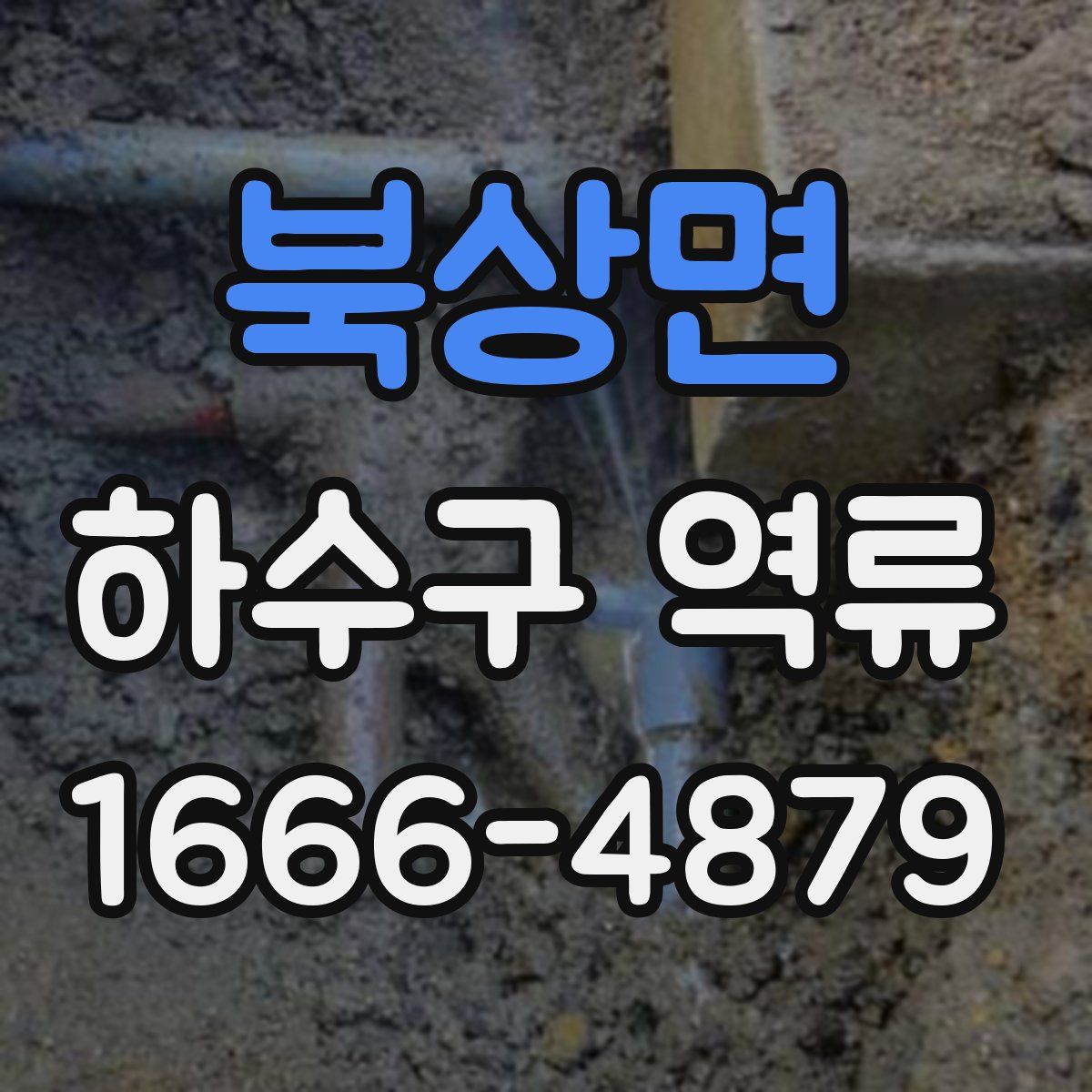 북상면 하수구 역류