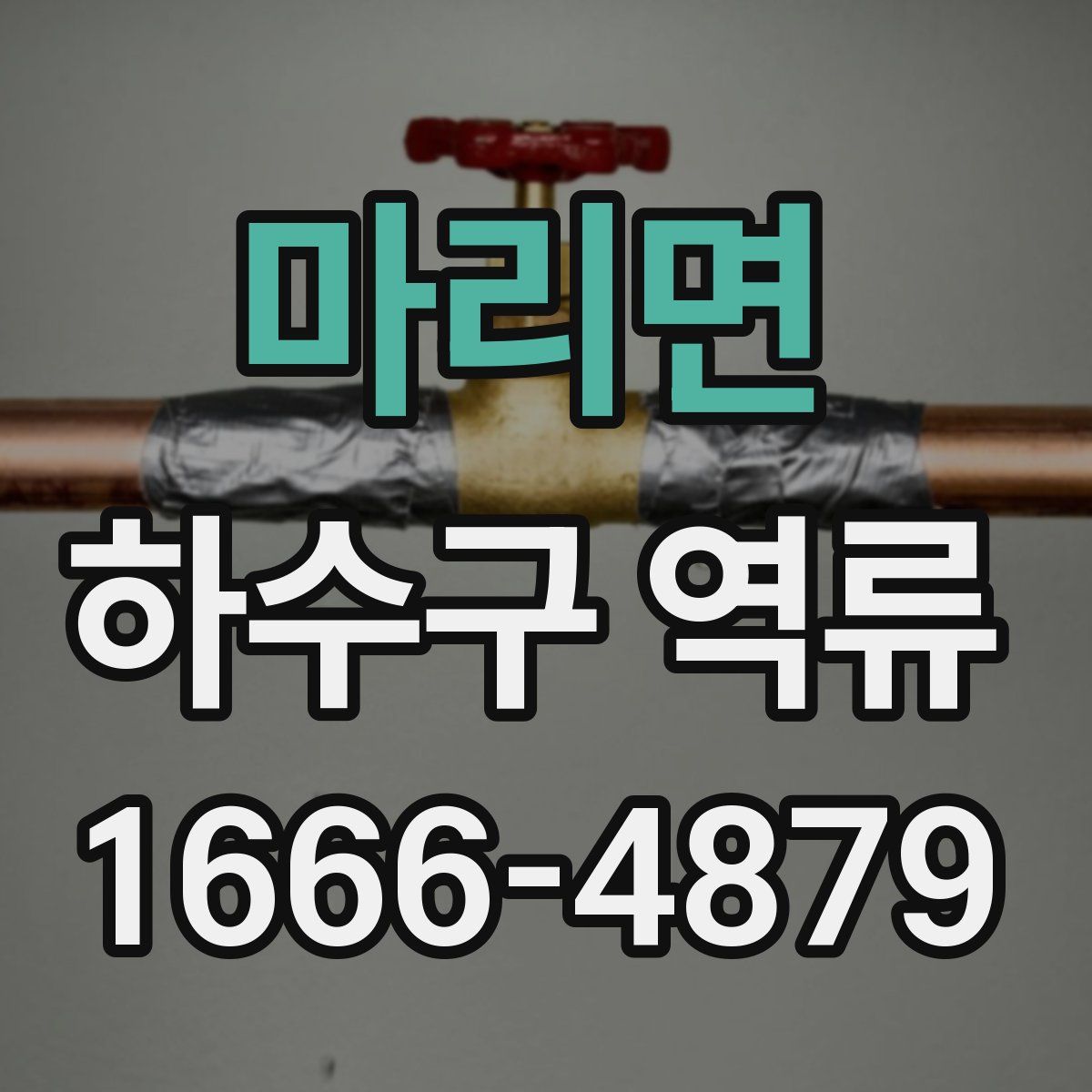 마리면 하수구 역류