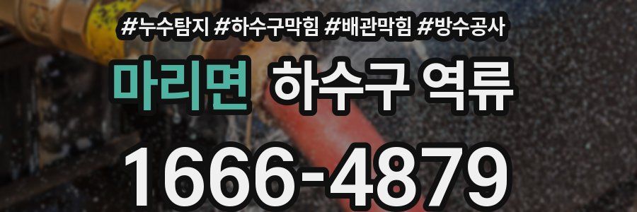 마리면 하수구 역류