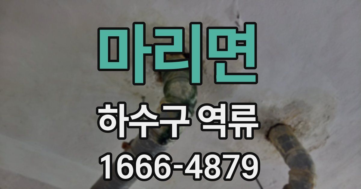 마리면 하수구 역류