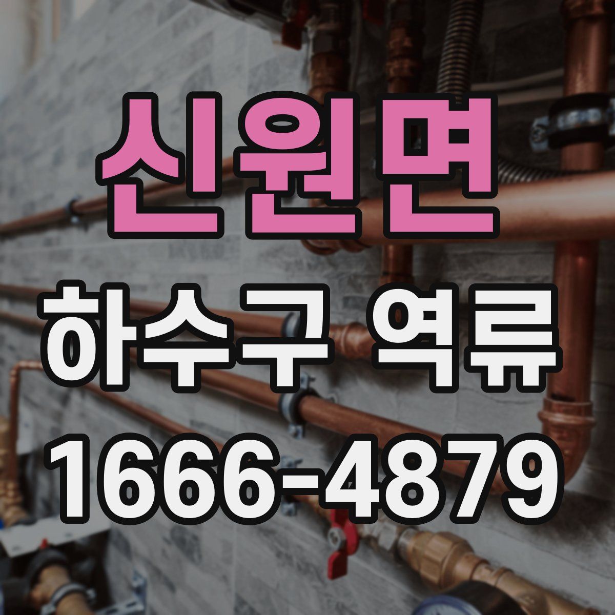 신원면 하수구 역류