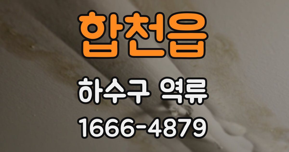 합천읍 하수구 역류